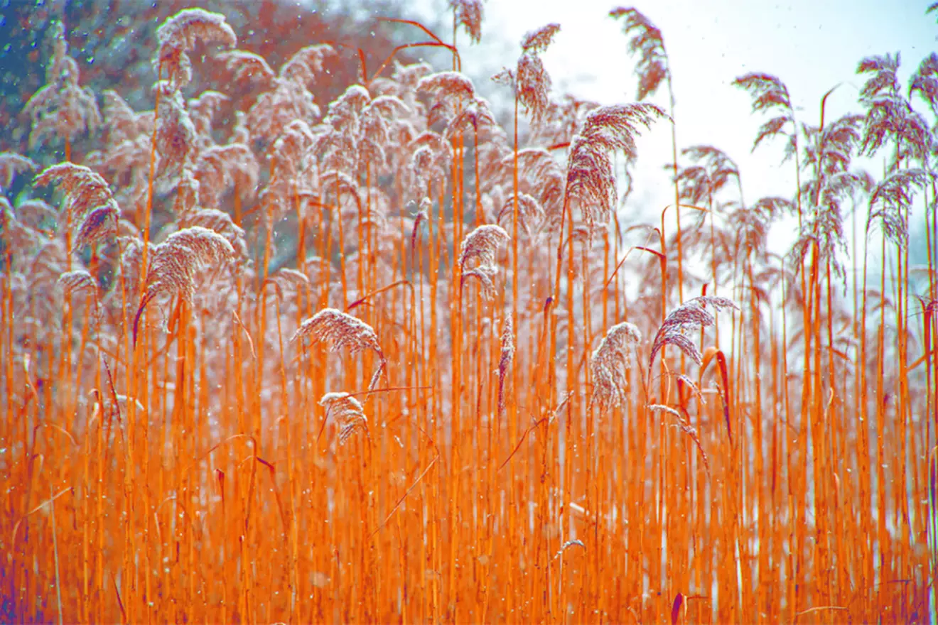plitvice-winter-06.jpg