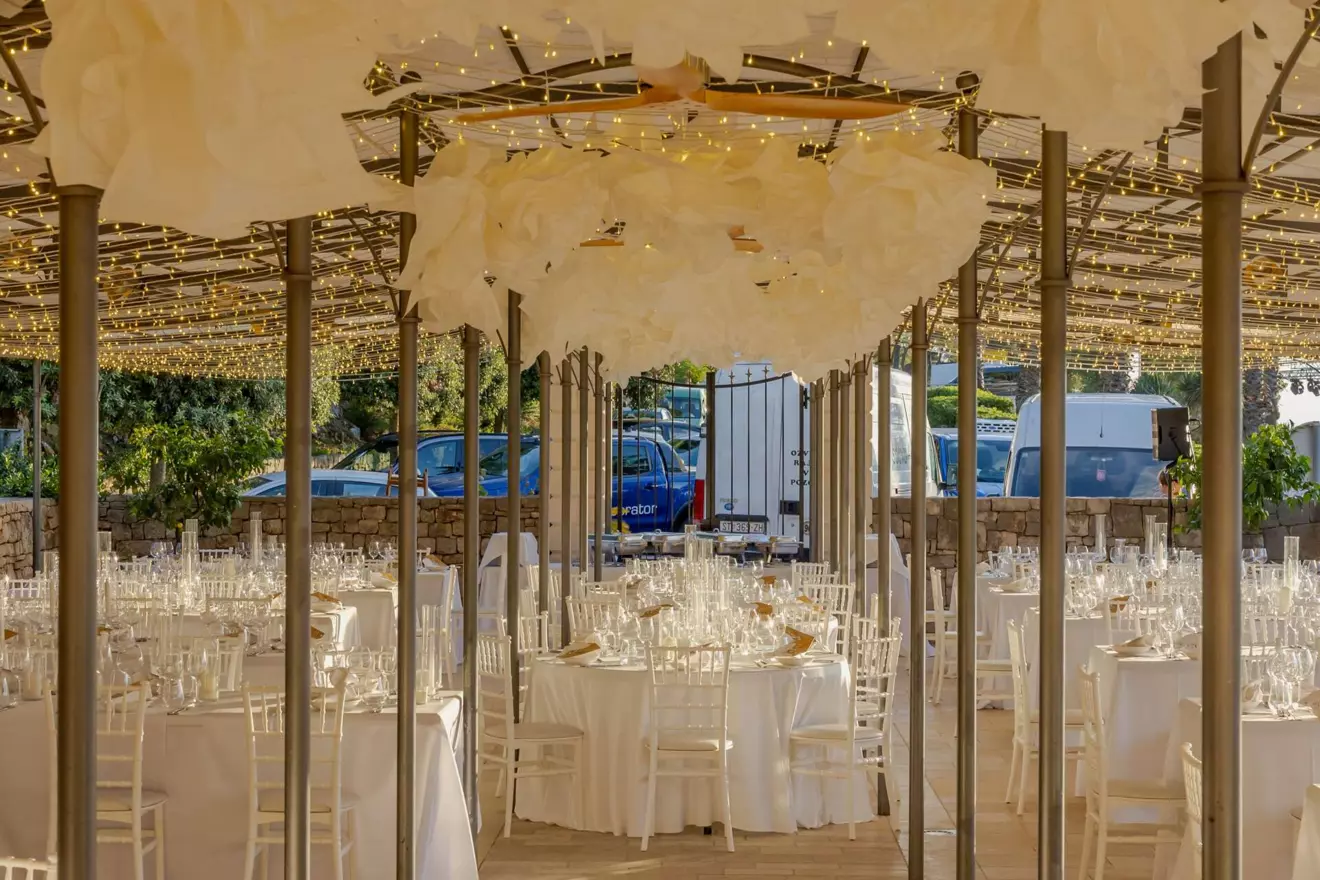 MARTINIS MARCHI setup.jpg