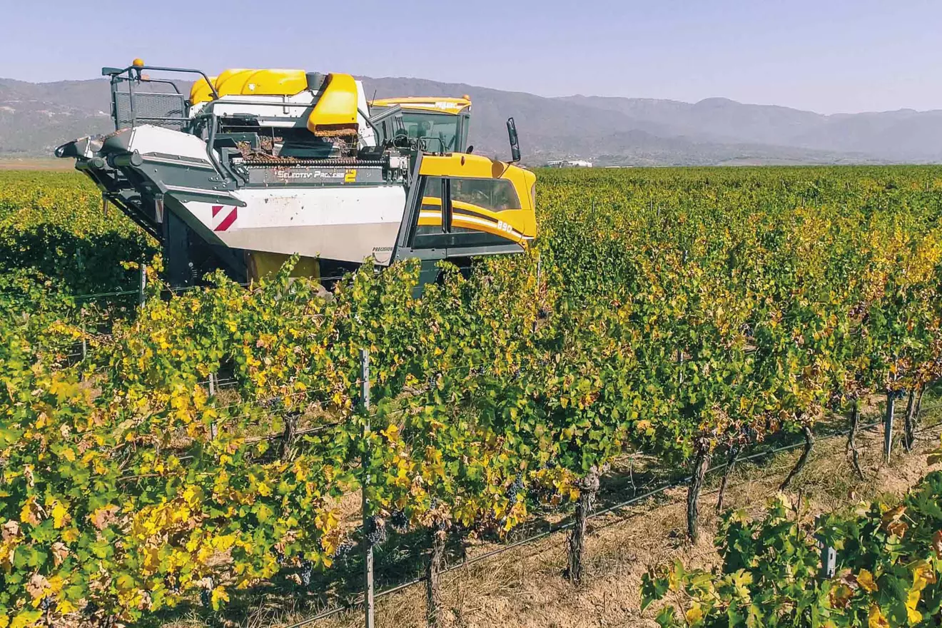 touch-wine-brand-vineyard-00.jpg