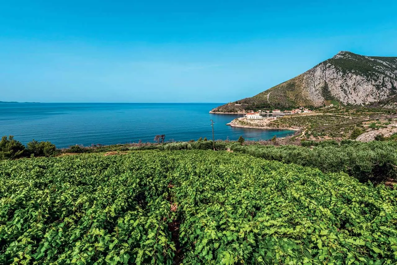Croatian Wineries, Grgic, Pelješac