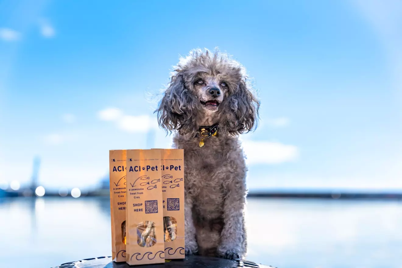 ACI pet web shop