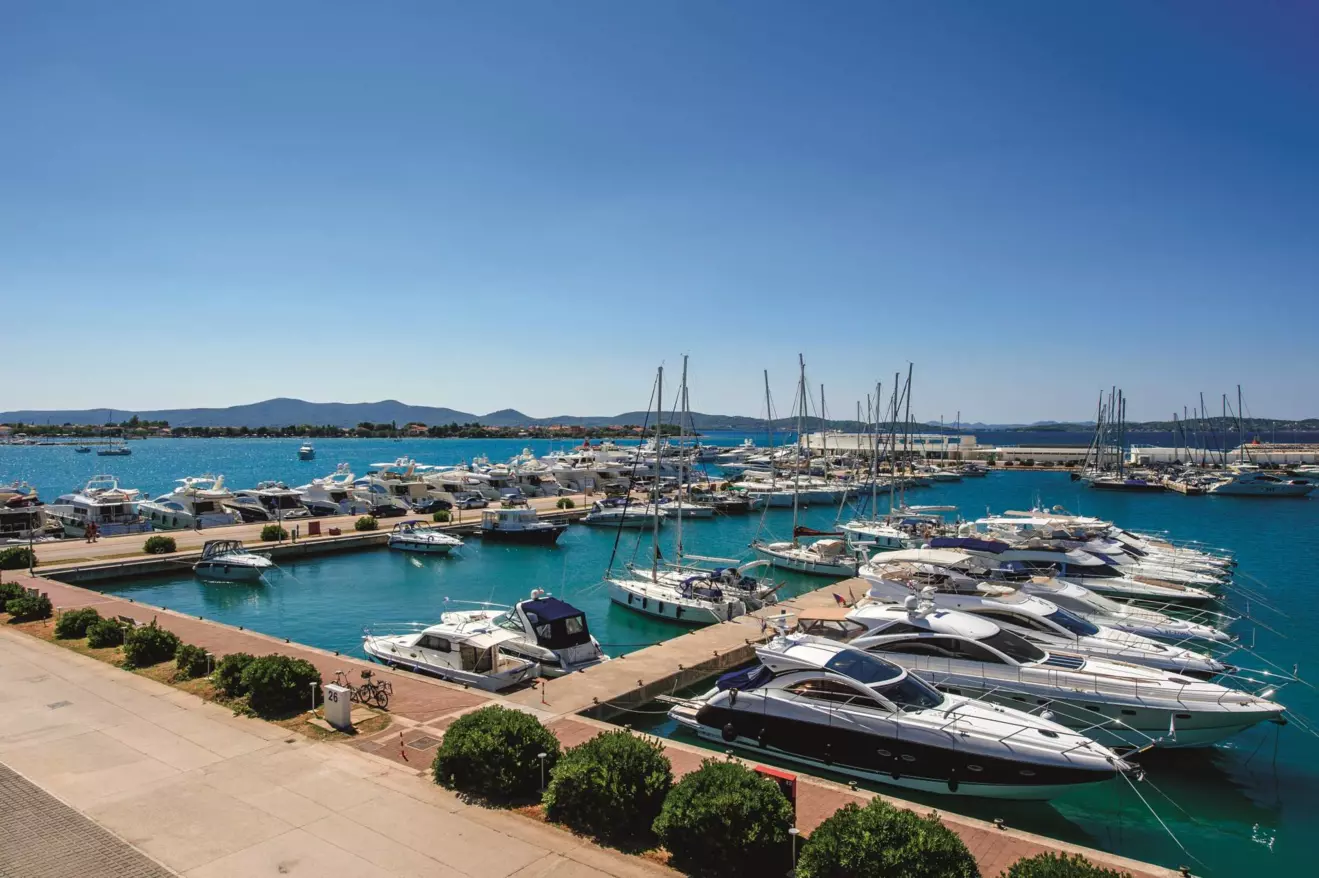 D Marin Dalmacija