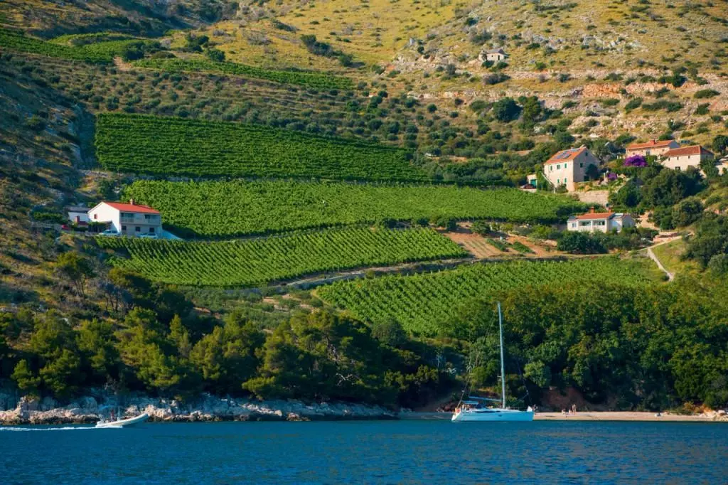sailing charter brac croatia