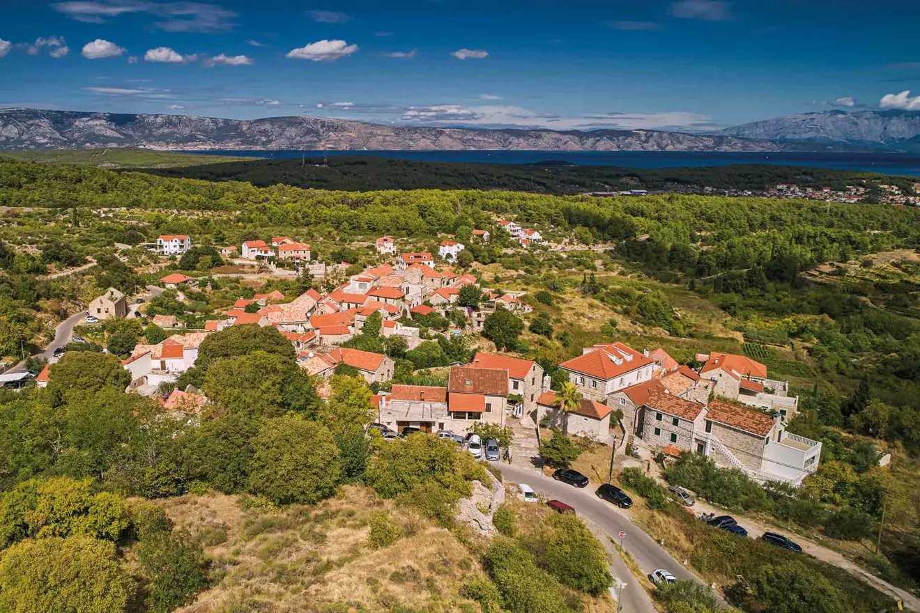 hvar wine pitve croatia