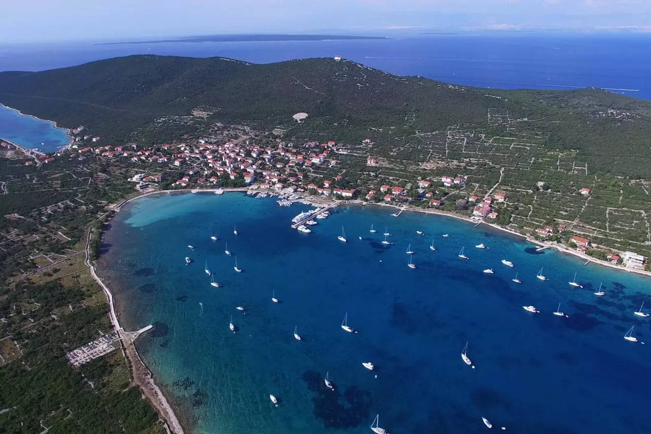 10 Ist 2018, Velid Jakupović Gricko.jpg