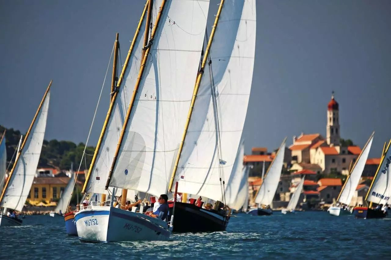 betina latin sail regatta