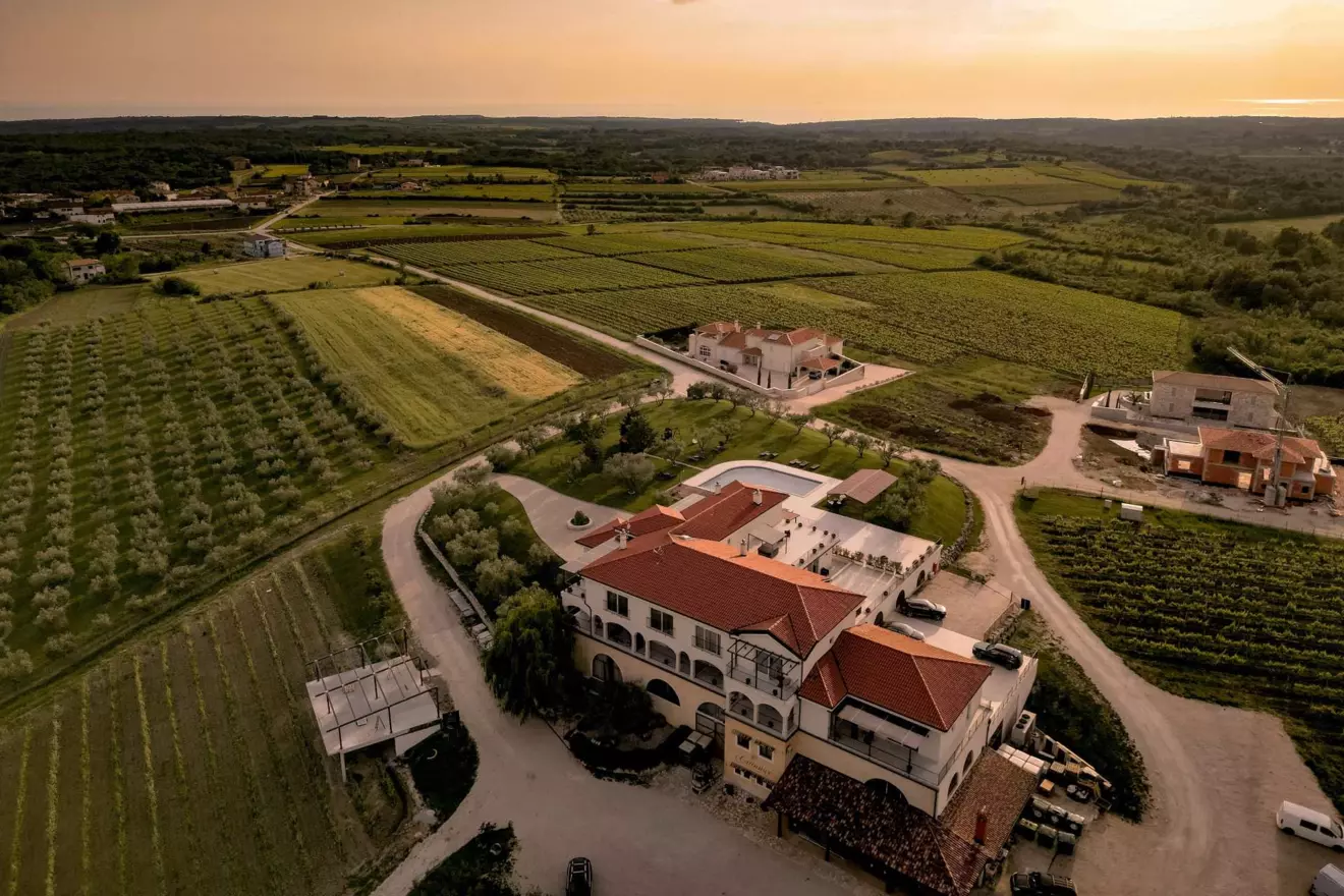 cattunar vineyard istria