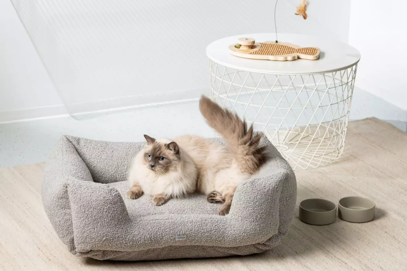 qushin cat pillow