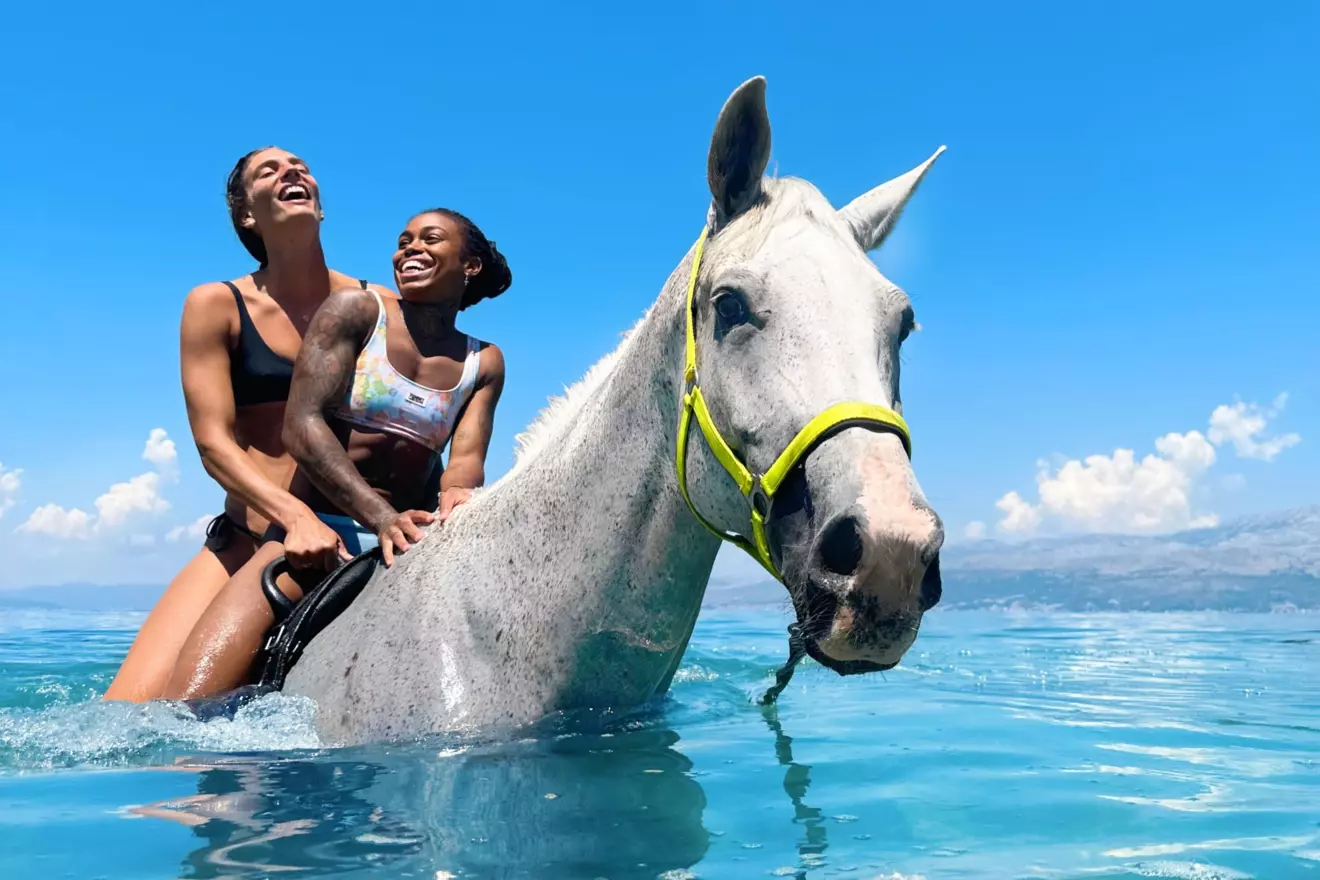 Horses brač island