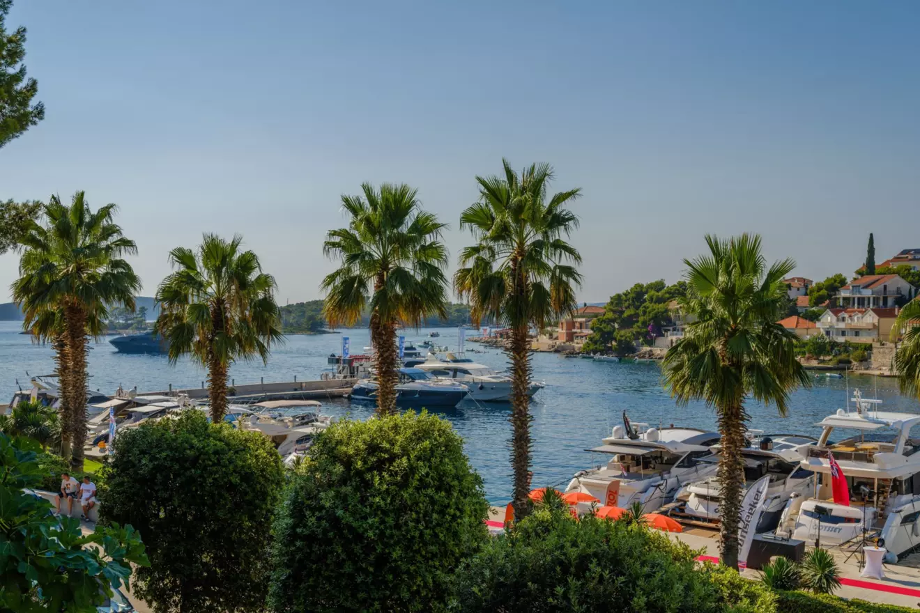 MM Summer party 2026 - marina.jpg