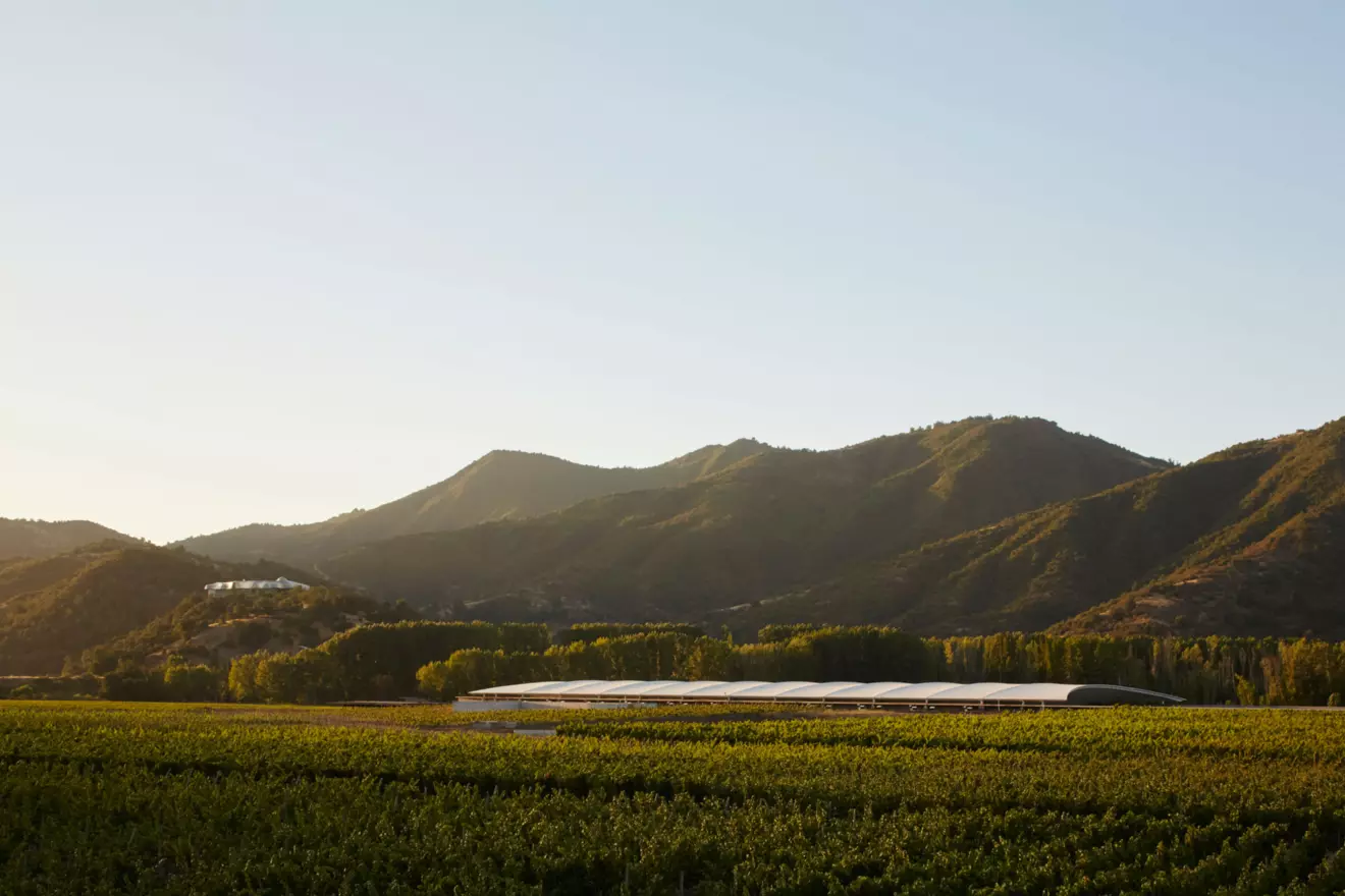 winery architecture, vik, chile