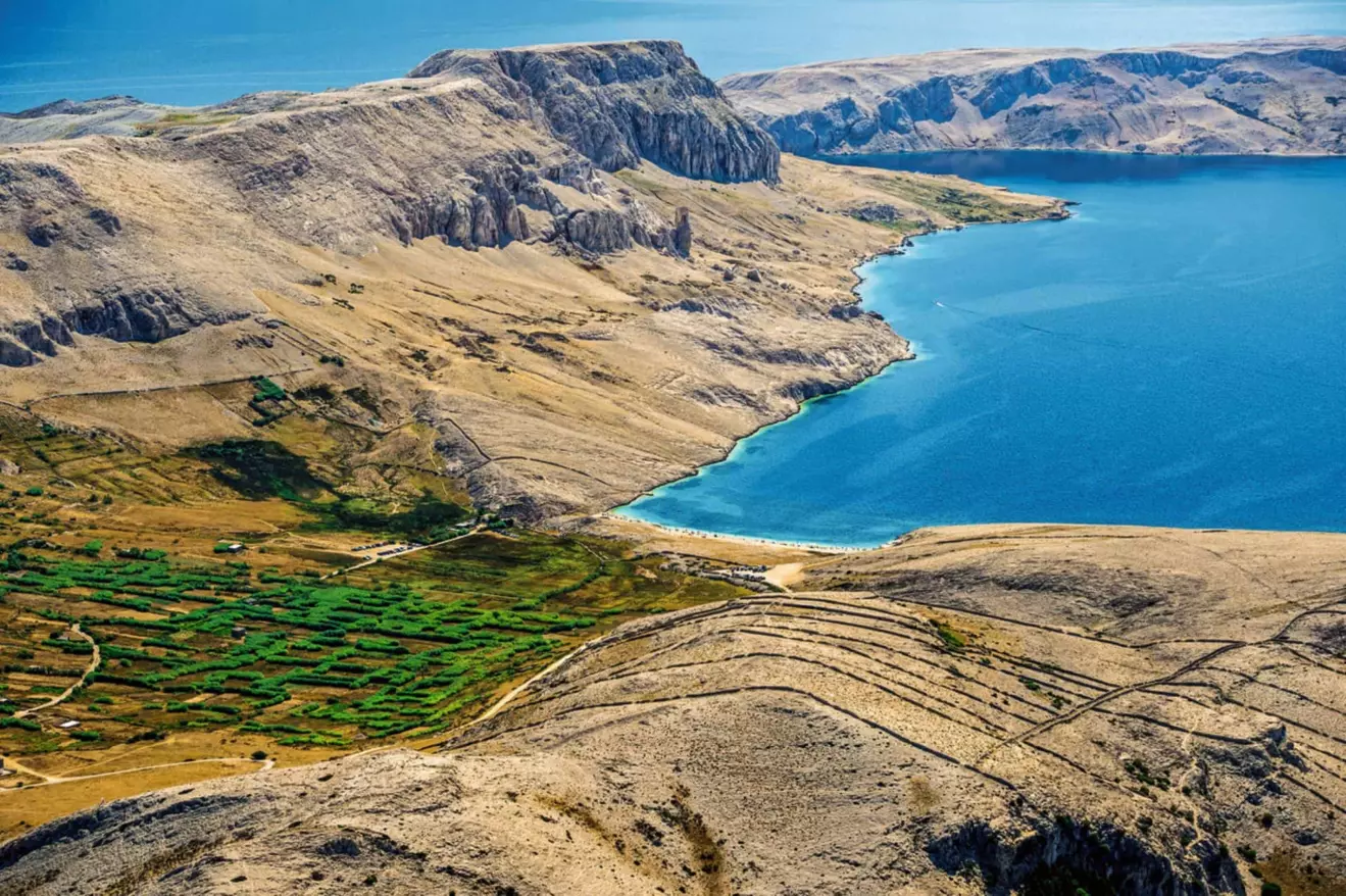 Pag Island lamb, showcasing the unique terroir of the island.