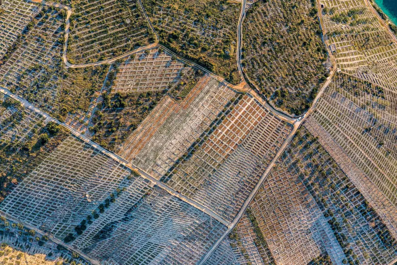 prgin vineyard inland primošten