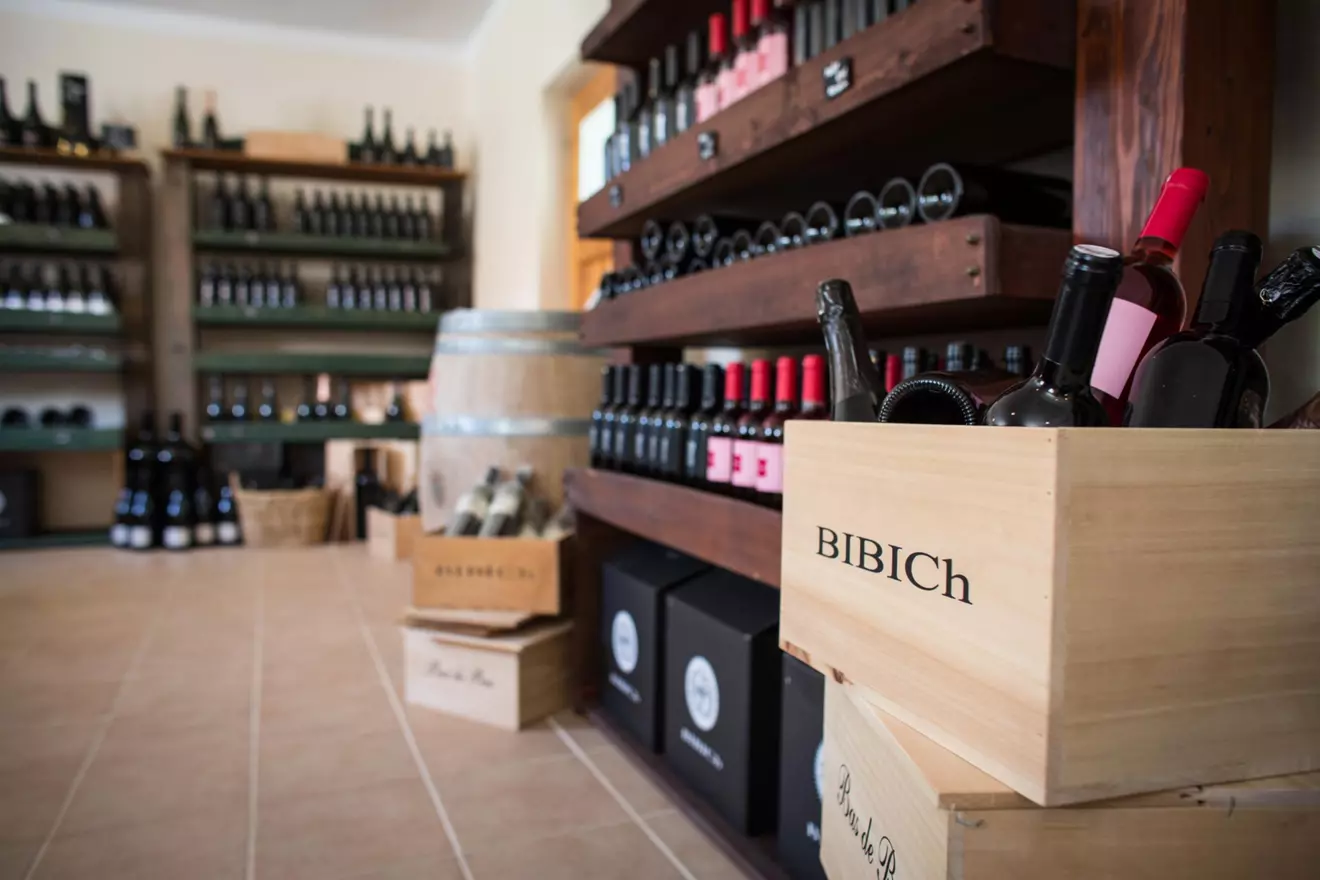 Bibich winery Skradin