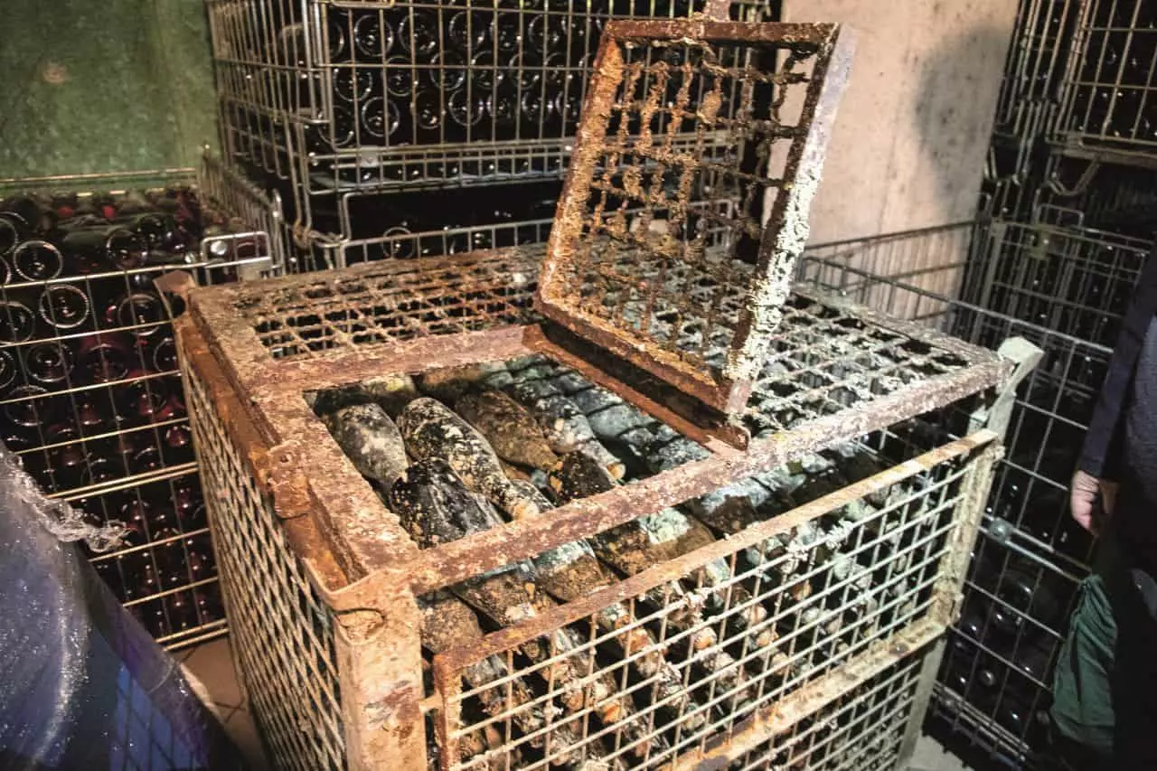 wine under sea