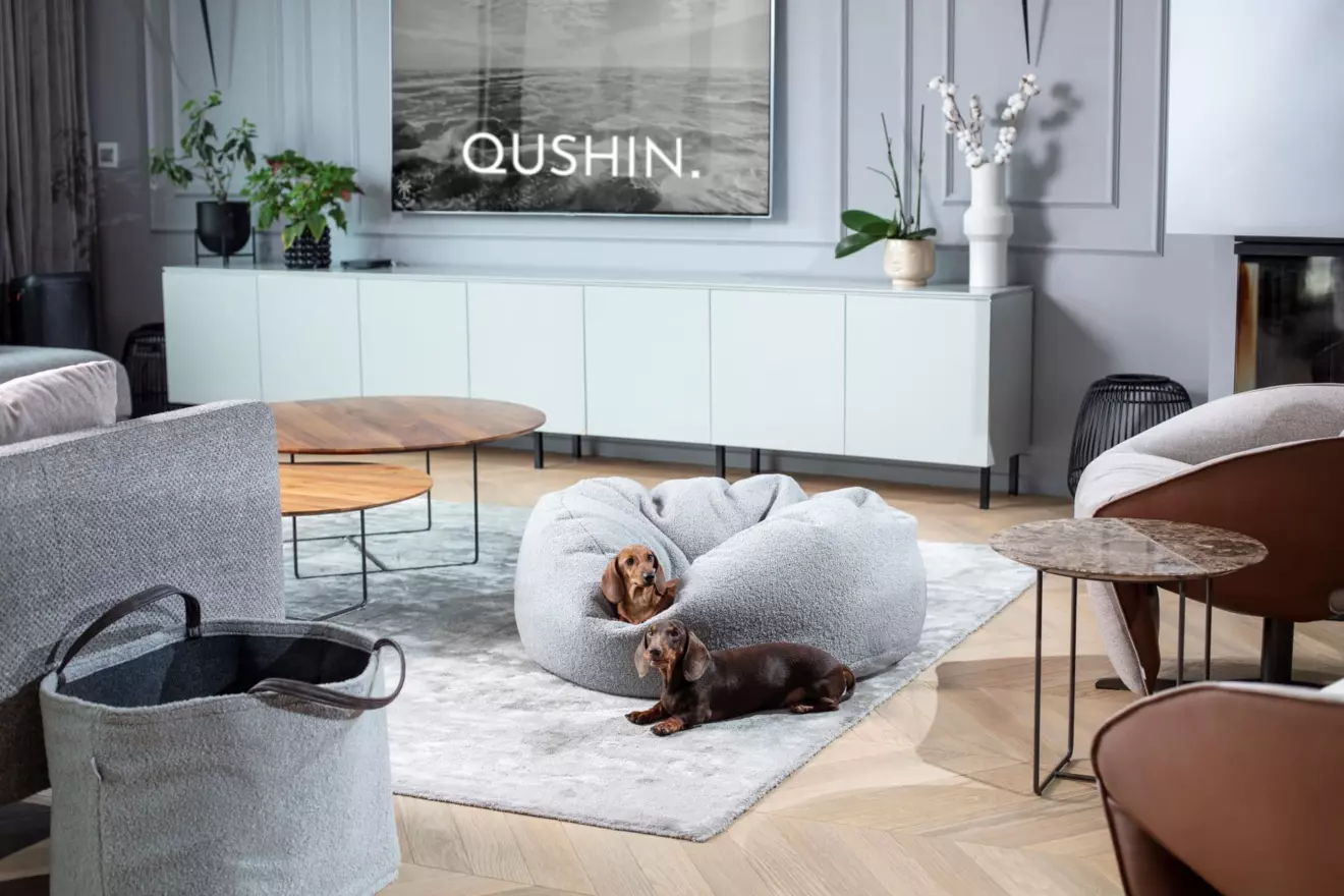 qushin dog pillow