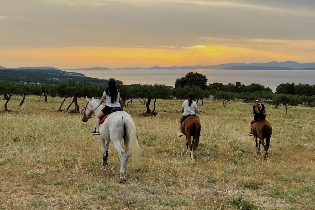 horse riding island brač