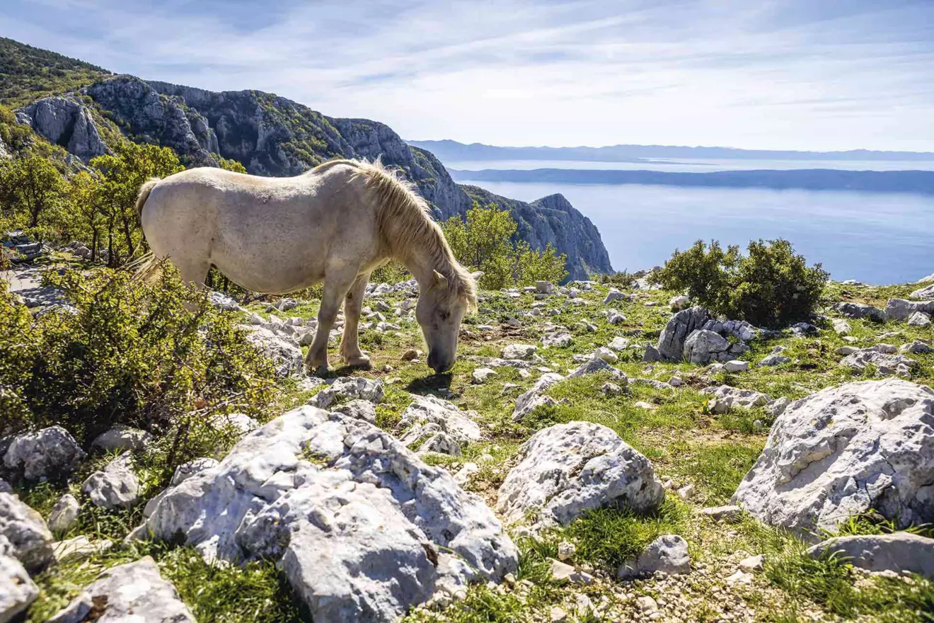 Dalmatian Hinterland Geopark Biokovo