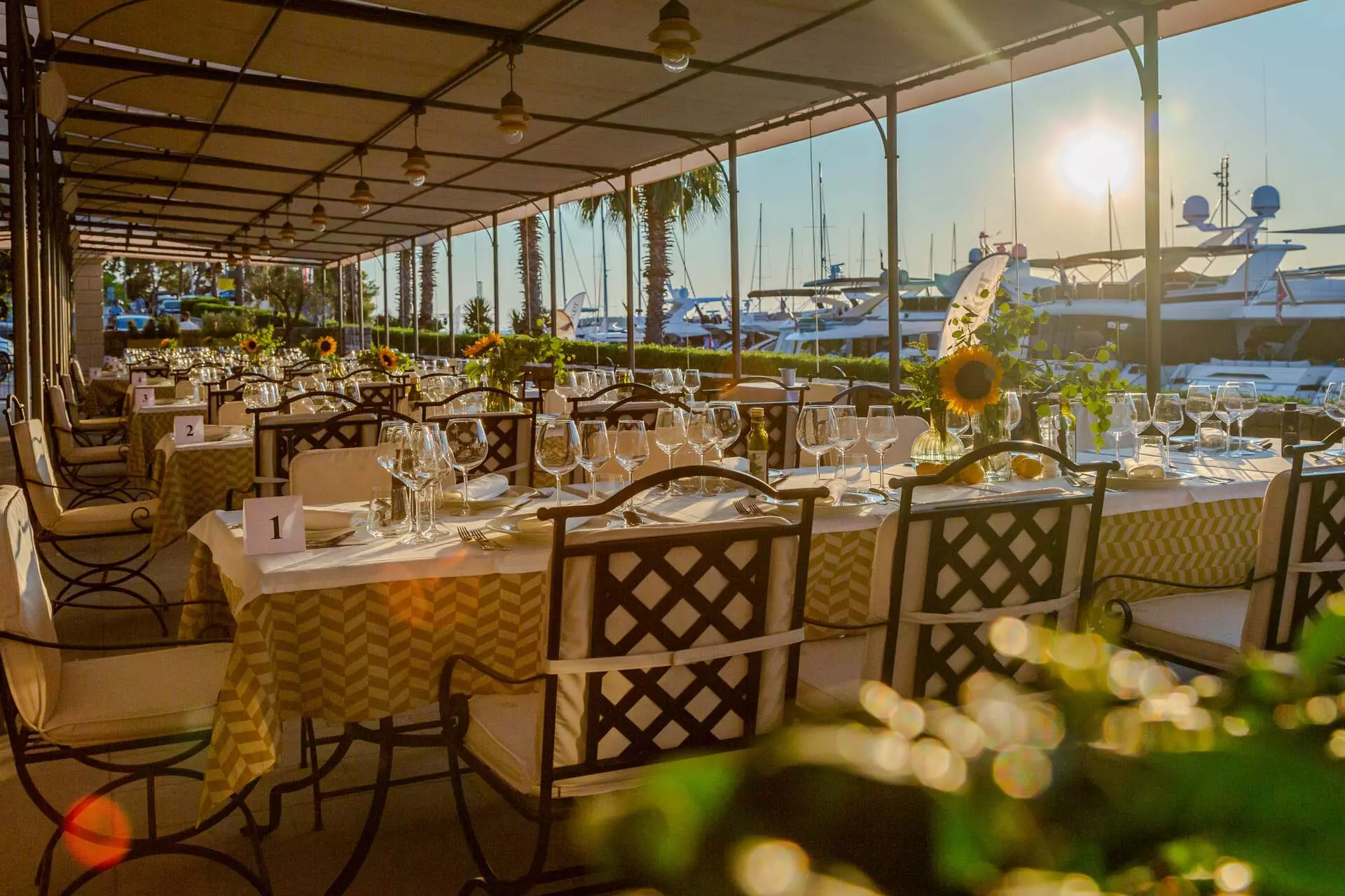 Martinis Marchi Reveals a New Gastronomic Side of Šolta