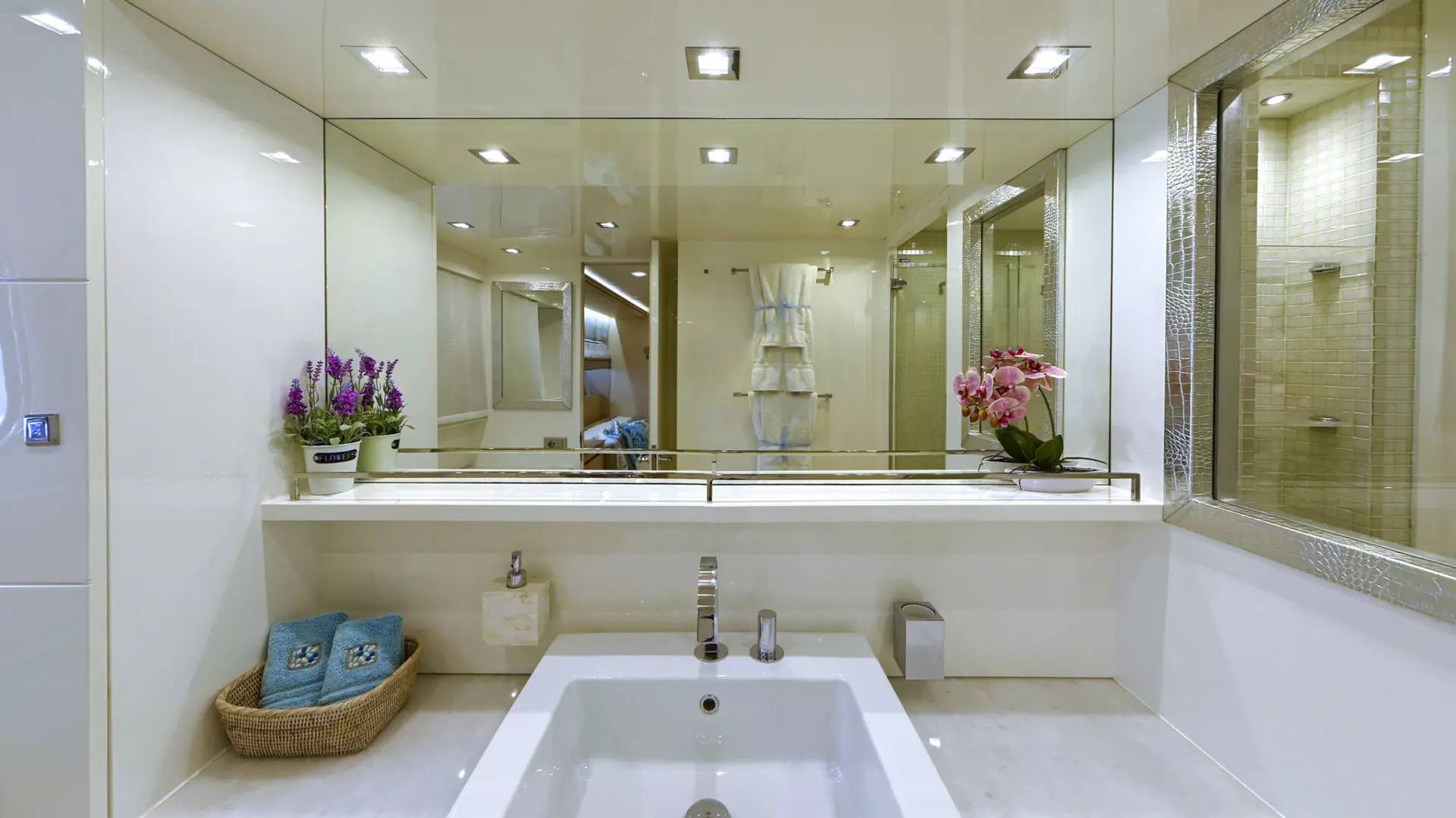 Master cabin bathroom
