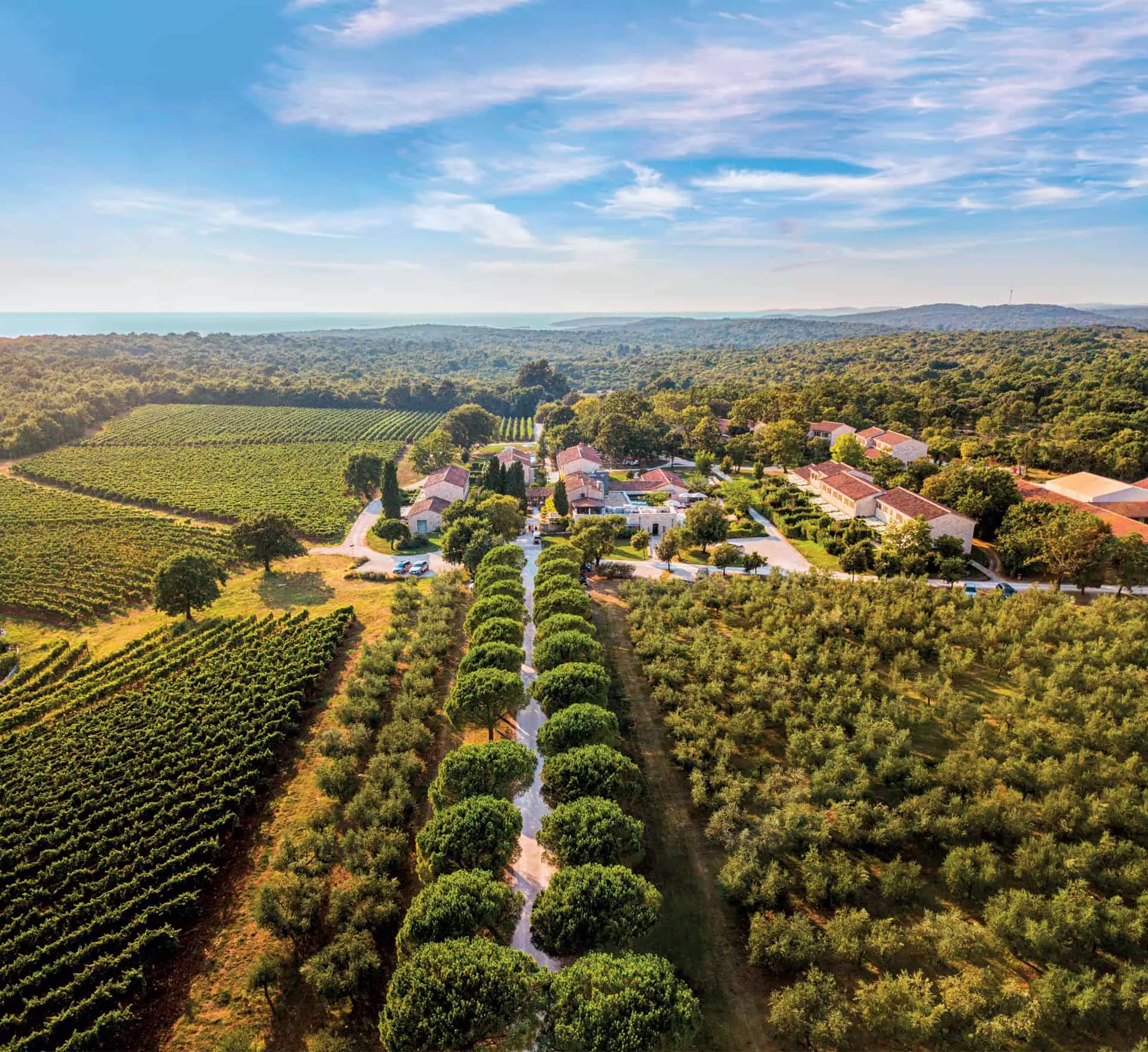 Meneghetti Wine Hotel & Winery: The Art of Luxury