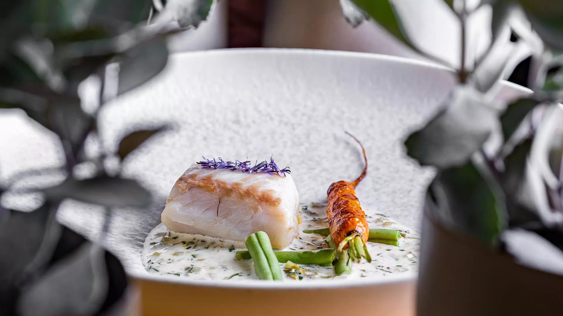 Elevate Your Palate: Four Top Restaurants in the Kvarner Region