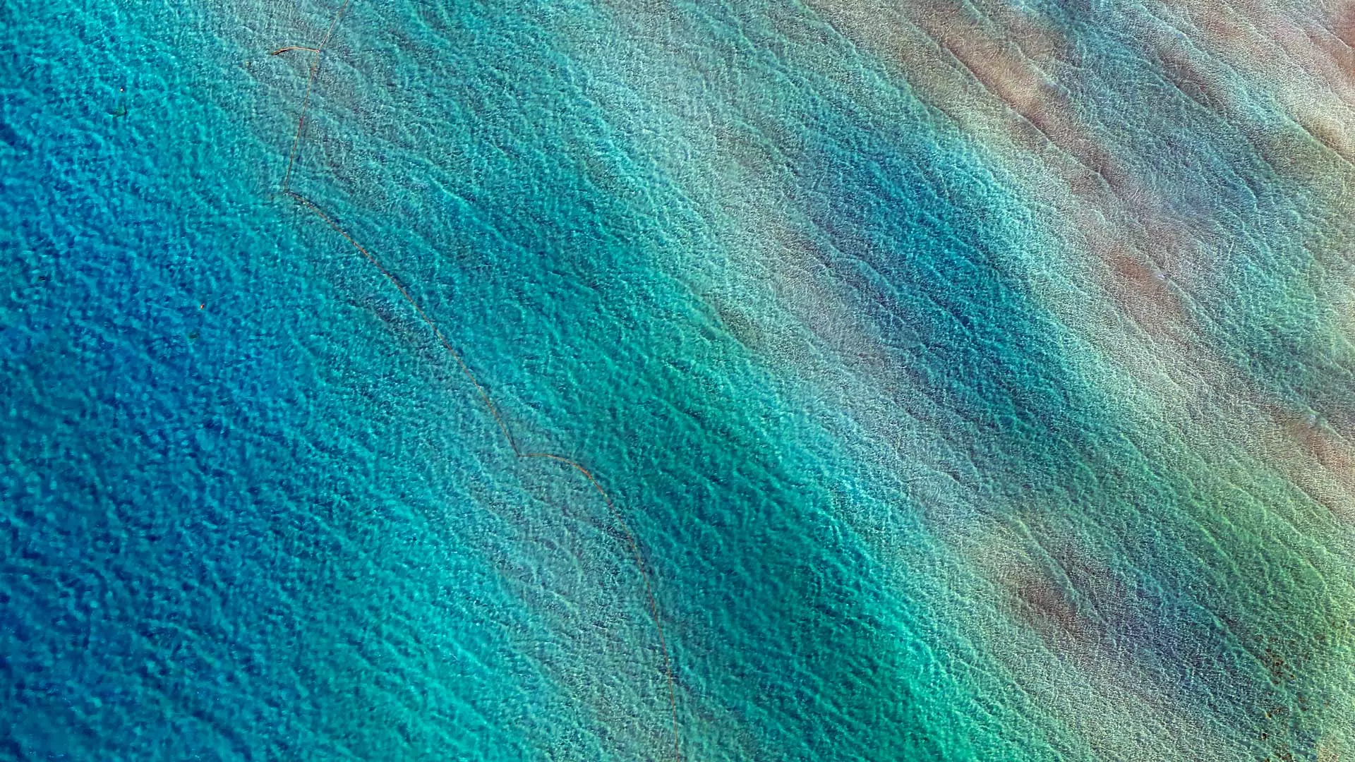 Return to the Lost Adriatic