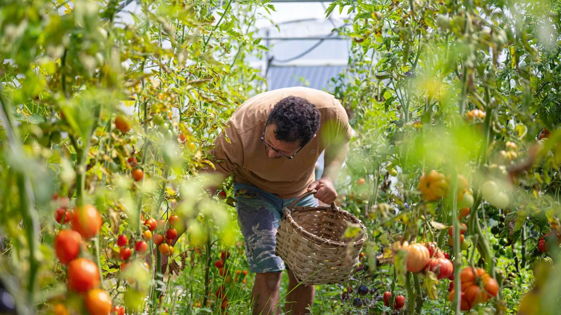 Countryside Delights: Authentic Flavors and Hidden Gems in Rural Croatia