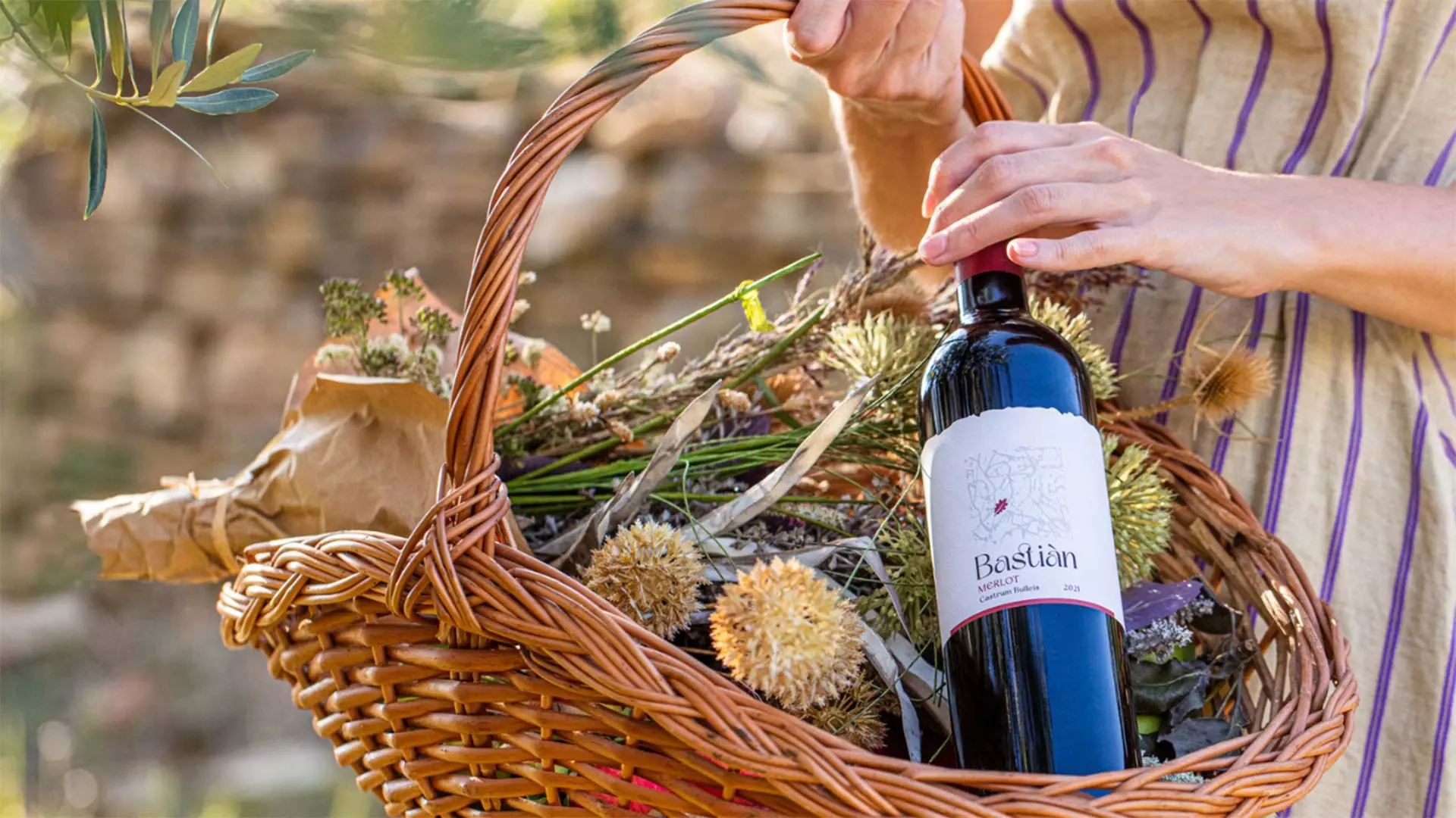 Bastiàn Winery: Immerse Yourself in an Istrian Pleasure