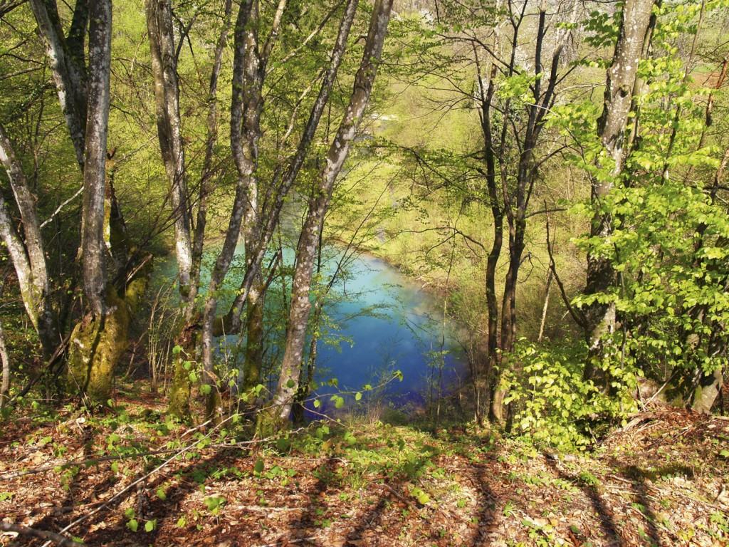Izvor Ponikve