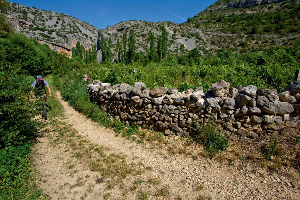 mountain biking