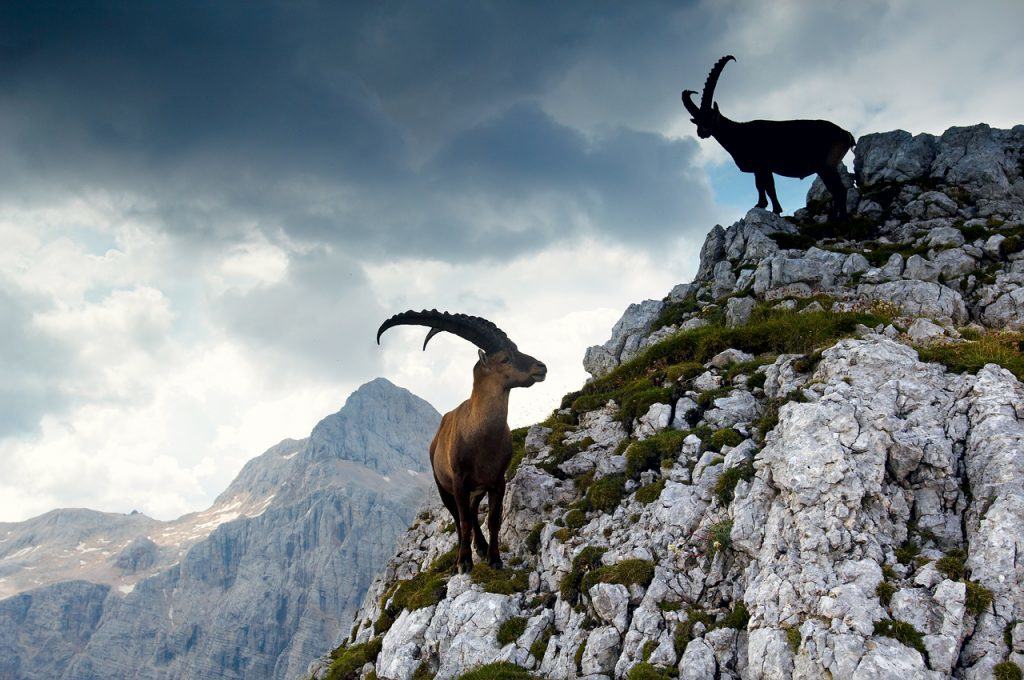 Triglav, Slovenija