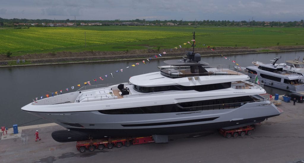 Mangusta Oceano