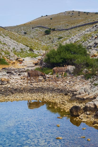 Dugi Otok