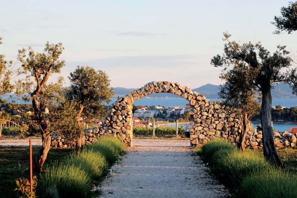 Royal Vineyards, Zadar