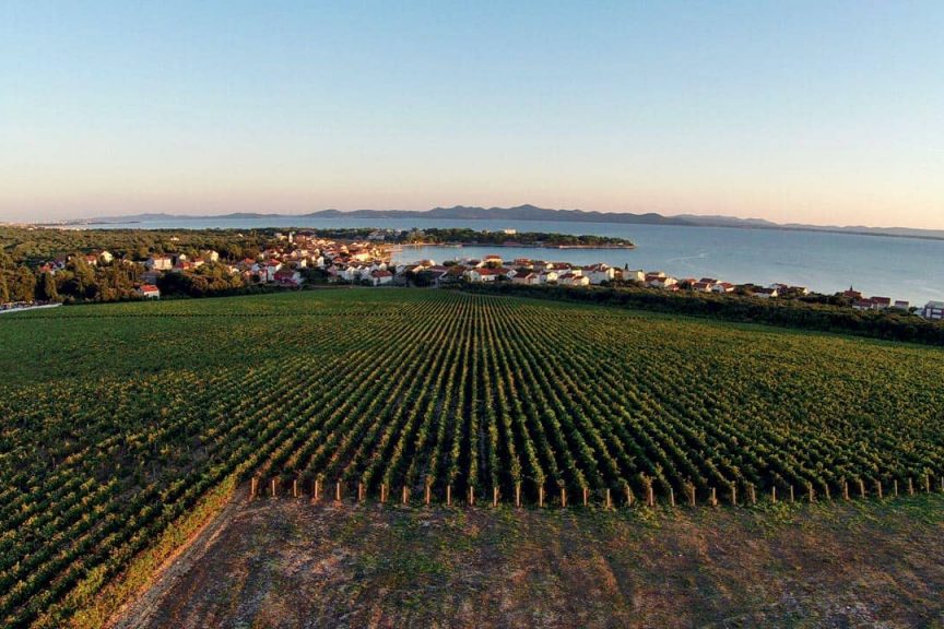 Royal Vineyards, Croatia