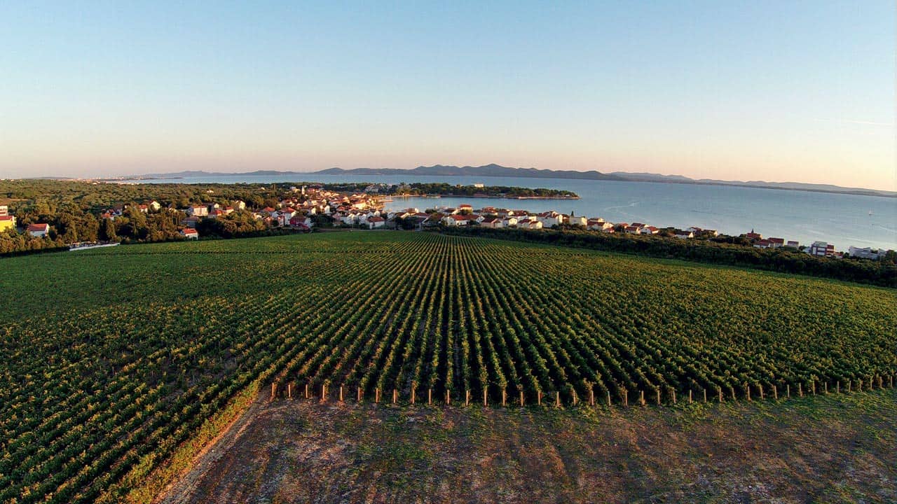 Royal Vineyards, Croatia