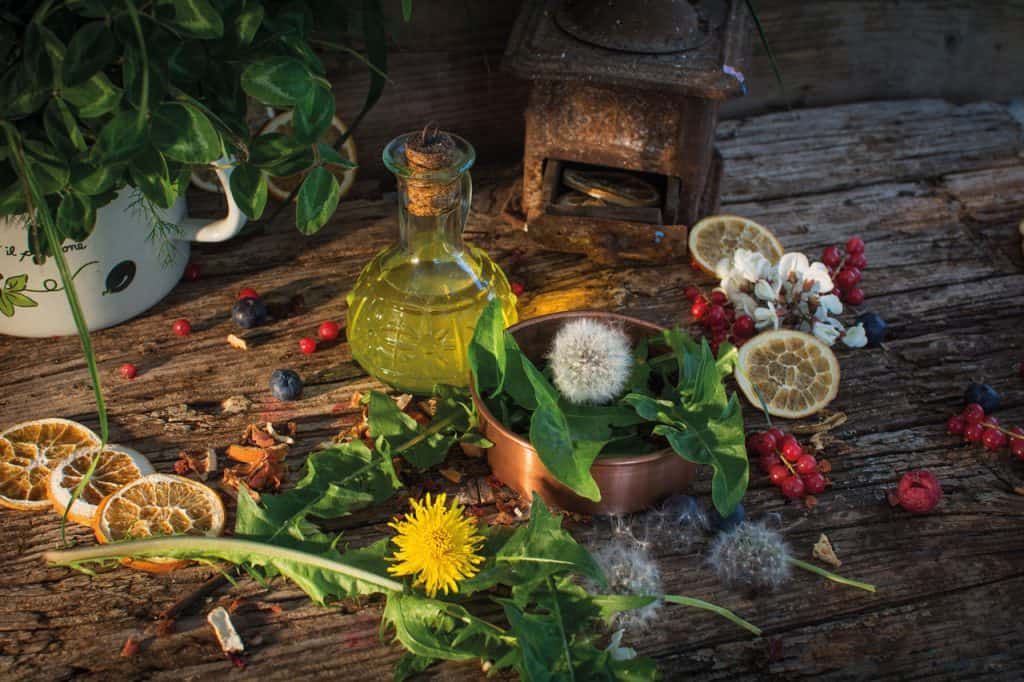 a gastronomic ode to spring