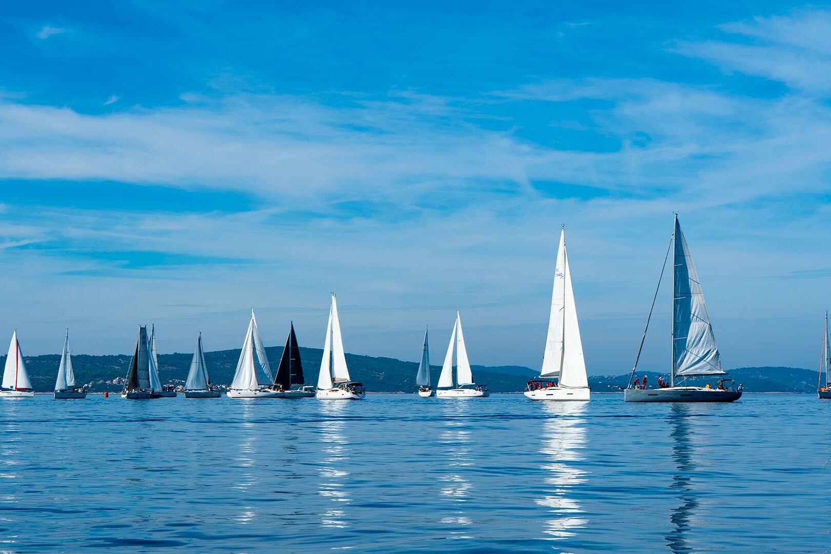Green Sail regatta