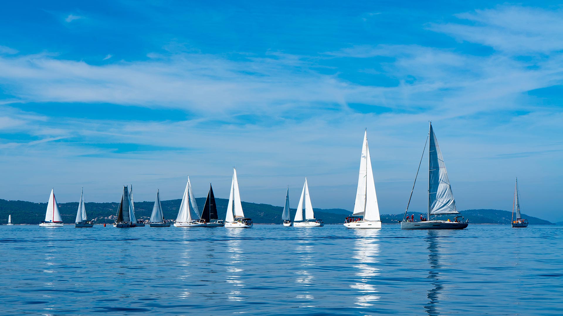 Green Sail regatta