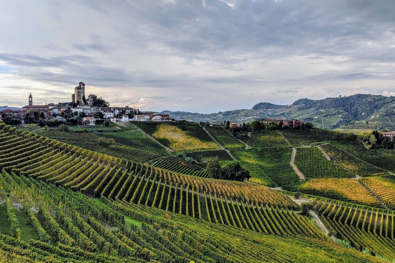 Langhe wineyards barolo Piedmont