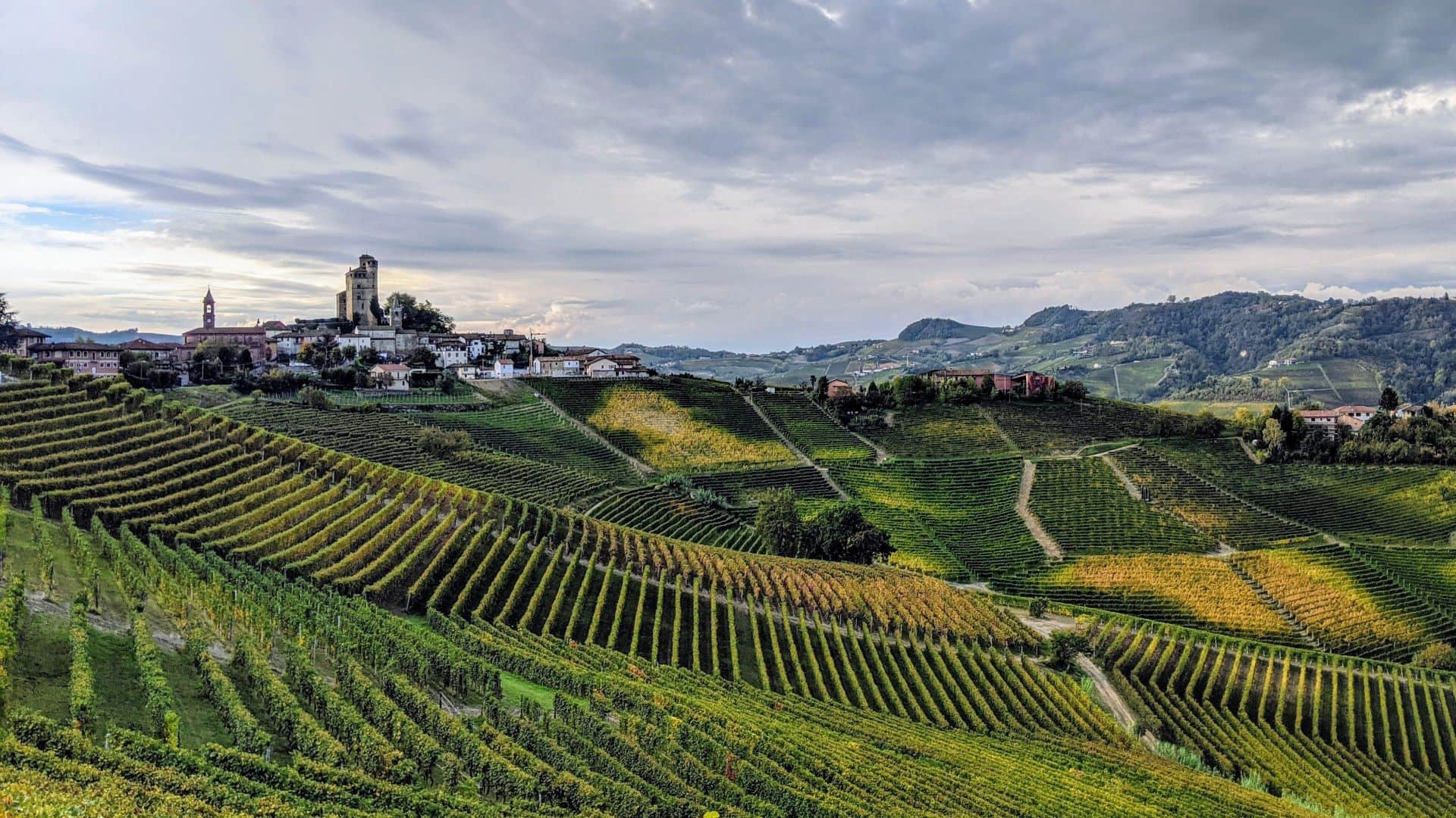 Langhe wineyards barolo Piedmont