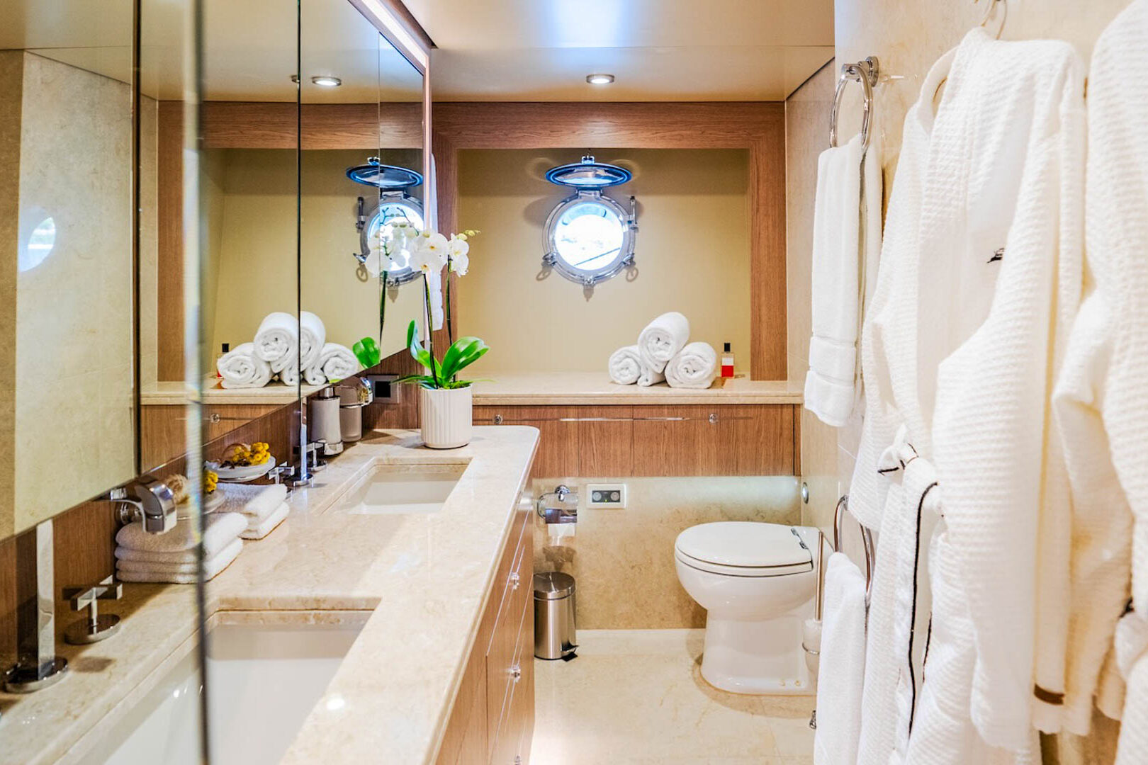 Dream Master cabin bathroom